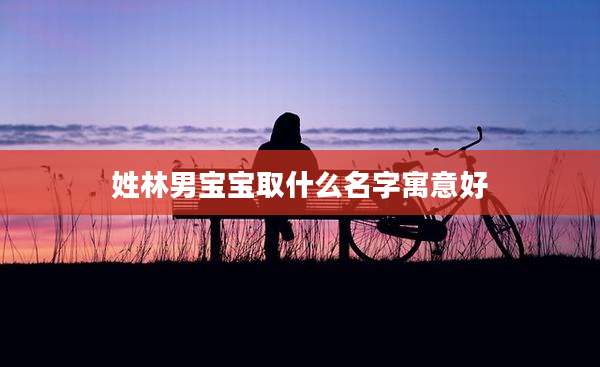 姓林男宝宝取什么名字寓意好