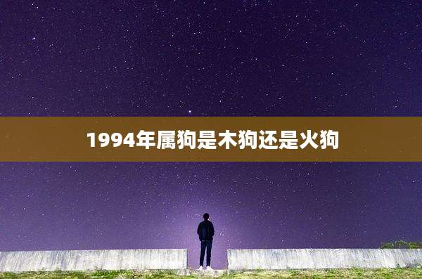 1994年属狗是木狗还是火狗