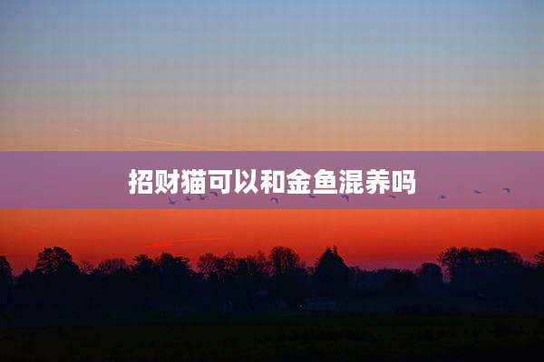 招财猫可以和金鱼混养吗