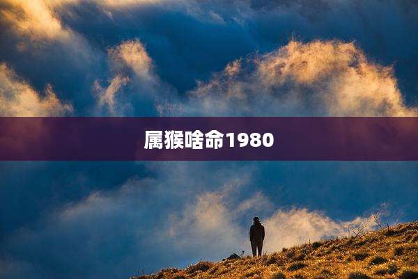 属猴啥命1980