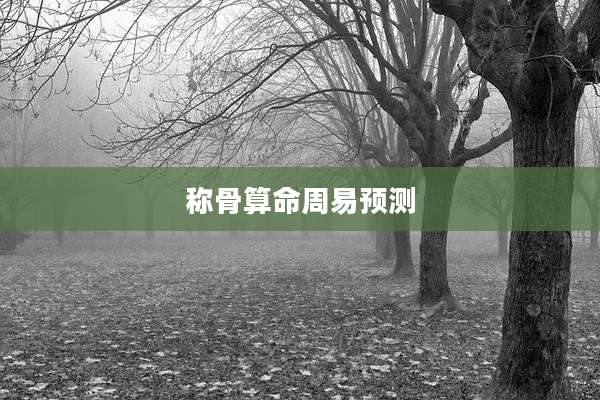 称骨算命周易预测