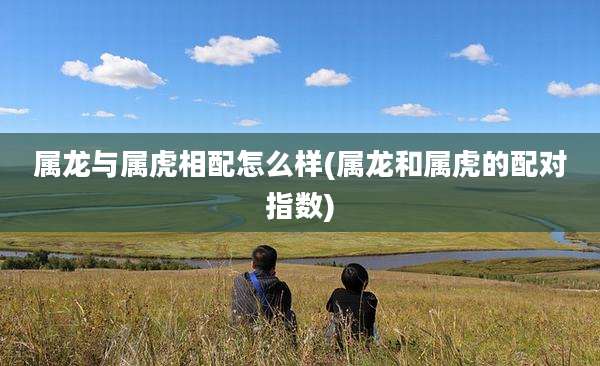 属龙与属虎相配怎么样(属龙和属虎的配对指数)
