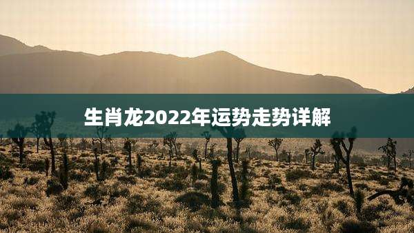 生肖龙2022年运势走势详解