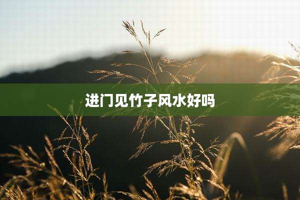 进门见竹子风水好吗