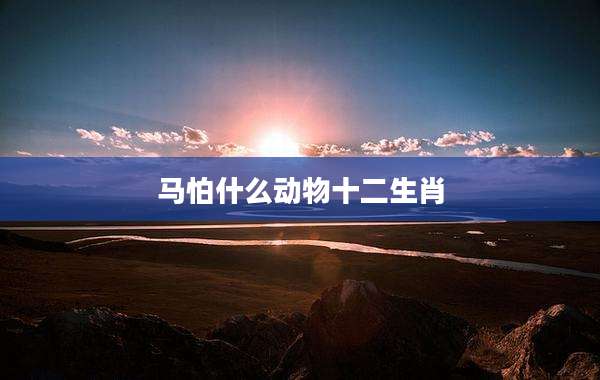 马怕什么动物十二生肖