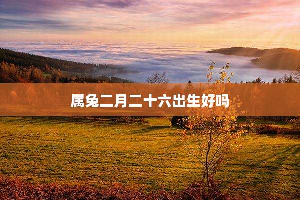 属兔二月二十六出生好吗
