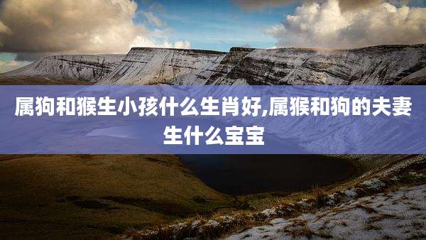 属狗和猴生小孩什么生肖好,属猴和狗的夫妻生什么宝宝