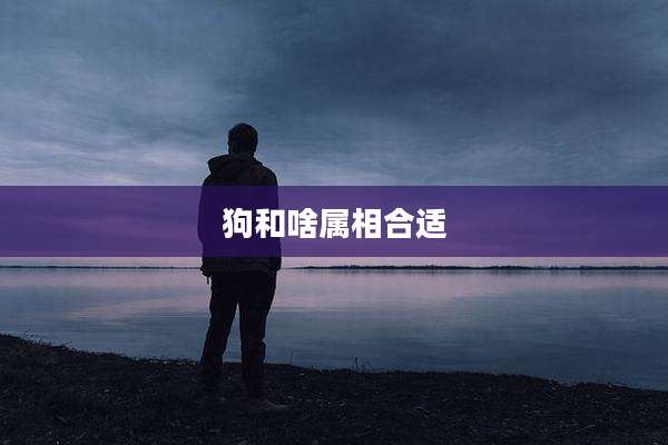 狗和啥属相合适