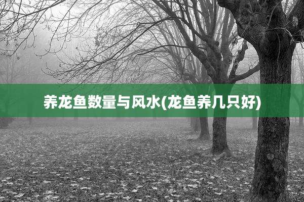 养龙鱼数量与风水(龙鱼养几只好)