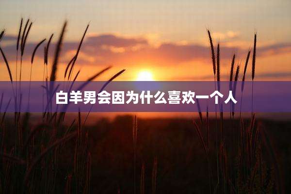 白羊男会因为什么喜欢一个人