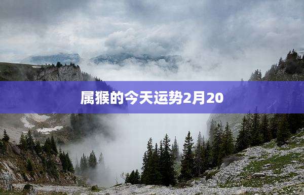 属猴的今天运势2月20