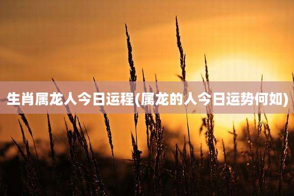 生肖属龙人今日运程(属龙的人今日运势何如)