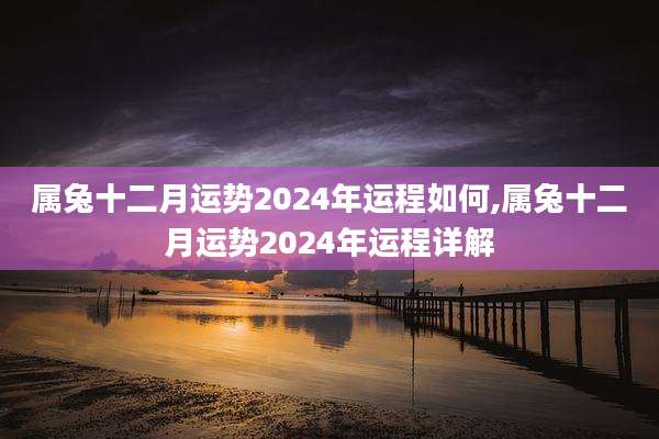 属兔十二月运势2024年运程如何,属兔十二月运势2024年运程详解