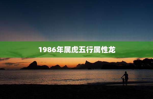 1986年属虎五行属性龙