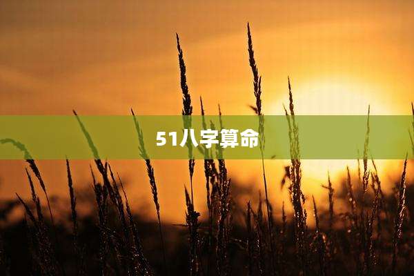 51八字算命