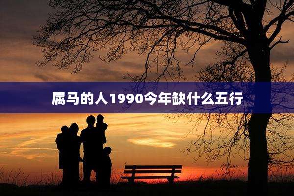 属马的人1990今年缺什么五行