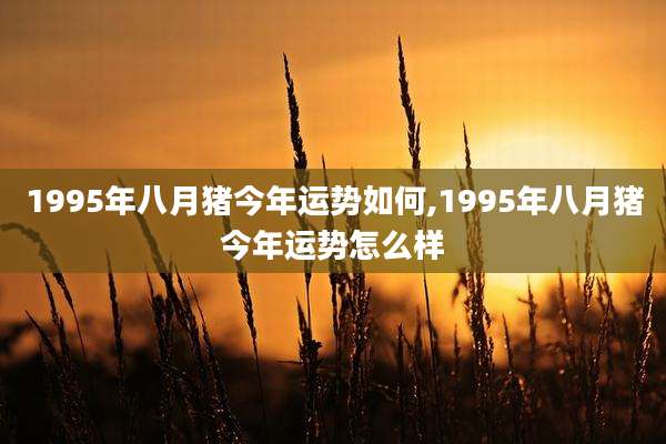 1995年八月猪今年运势如何,1995年八月猪今年运势怎么样
