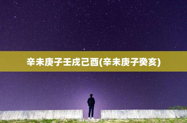 辛未庚子壬戌己酉(辛未庚子癸亥)