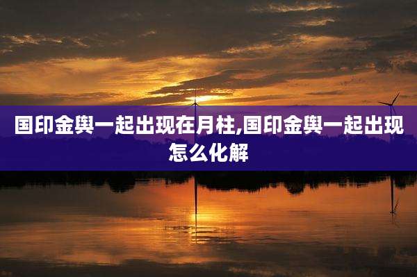 国印金舆一起出现在月柱,国印金舆一起出现怎么化解