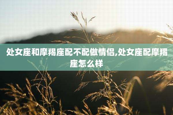 处女座和摩羯座配不配做情侣,处女座配摩羯座怎么样