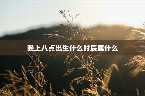 晚上八点出生什么时辰属什么