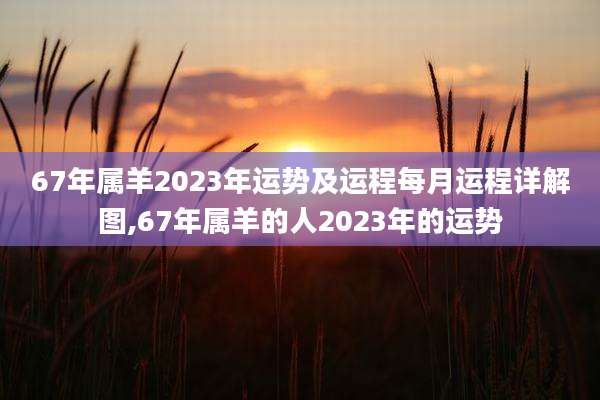 67年属羊2023年运势及运程每月运程详解图,67年属羊的人2023年的运势