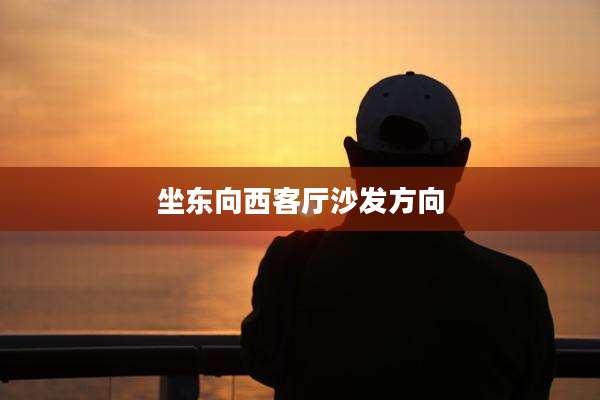坐东向西客厅沙发方向