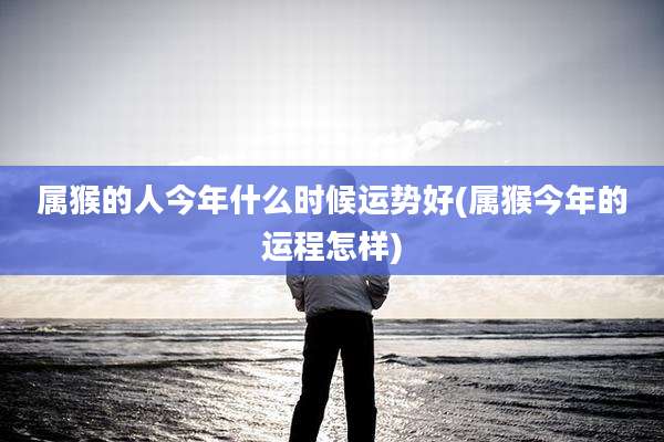 属猴的人今年什么时候运势好(属猴今年的运程怎样)
