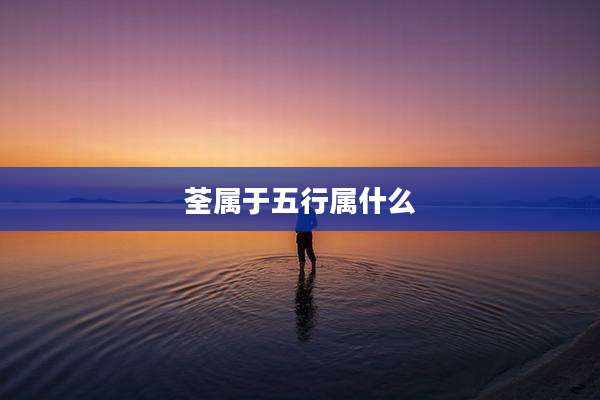 荃属于五行属什么