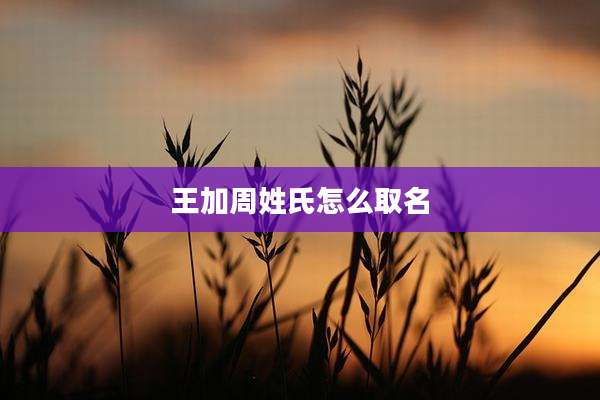 王加周姓氏怎么取名