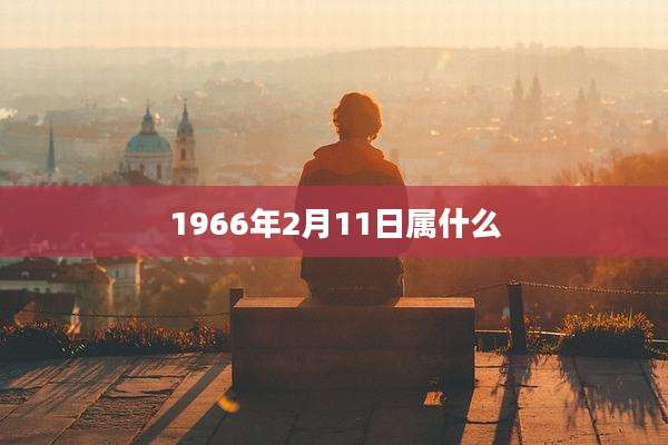 1966年2月11日属什么