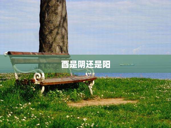 酉是阴还是阳