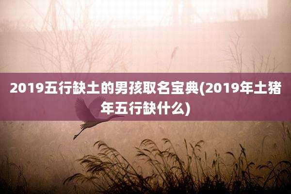 2019五行缺土的男孩取名宝典(2019年土猪年五行缺什么)
