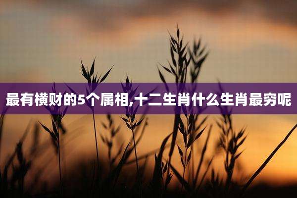 最有横财的5个属相,十二生肖什么生肖最穷呢