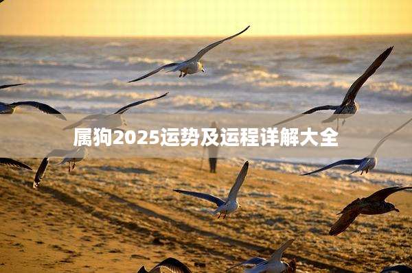 属狗2025运势及运程详解大全