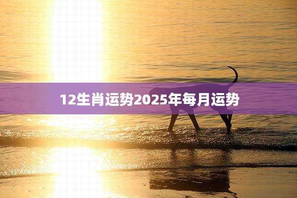 12生肖运势2025年每月运势