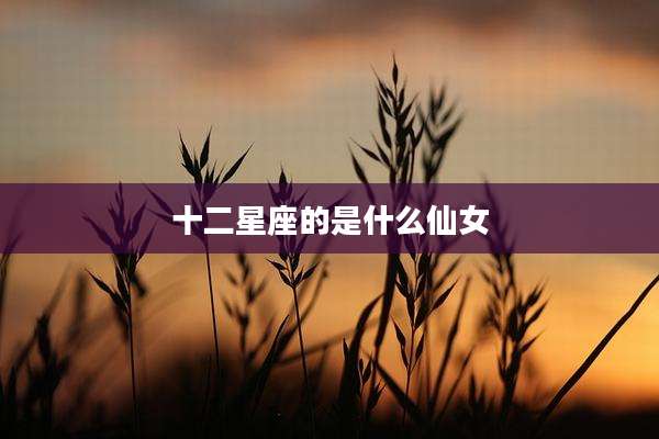 十二星座的是什么仙女