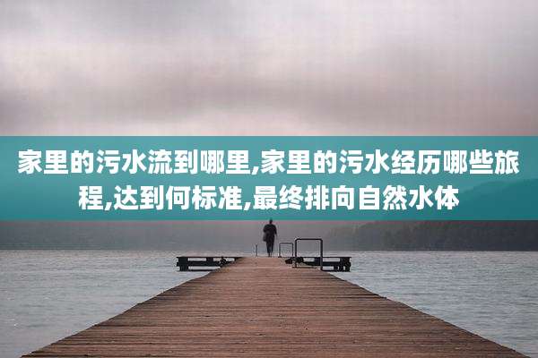 家里的污水流到哪里,家里的污水经历哪些旅程,达到何标准,最终排向自然水体