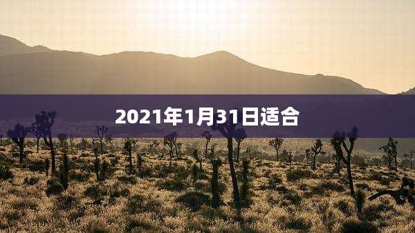 2021年1月31日适合