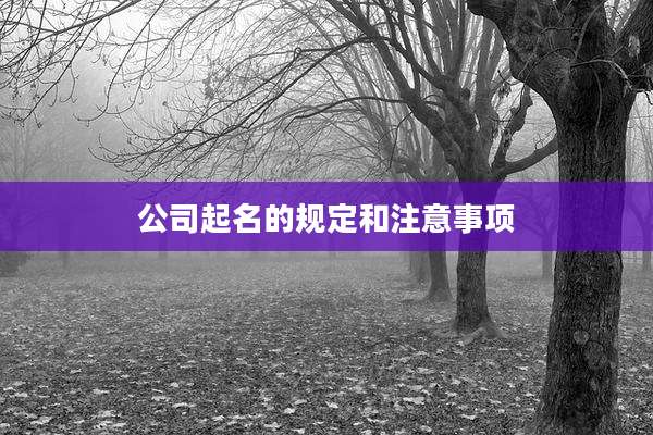 公司起名的规定和注意事项