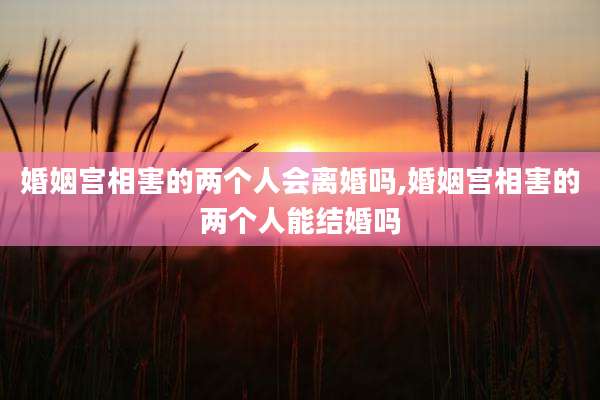 婚姻宫相害的两个人会离婚吗,婚姻宫相害的两个人能结婚吗