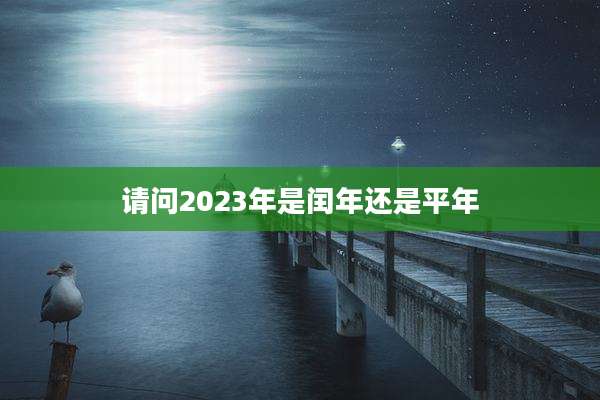 请问2023年是闰年还是平年