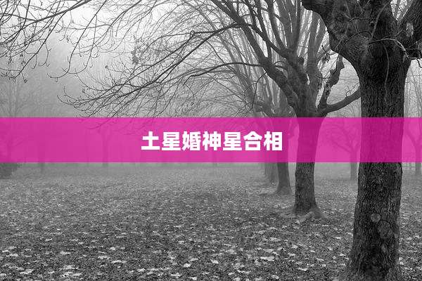 土星婚神星合相