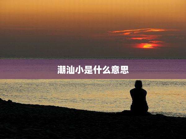 潮汕小是什么意思