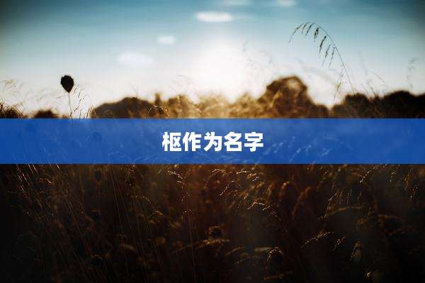 枢作为名字