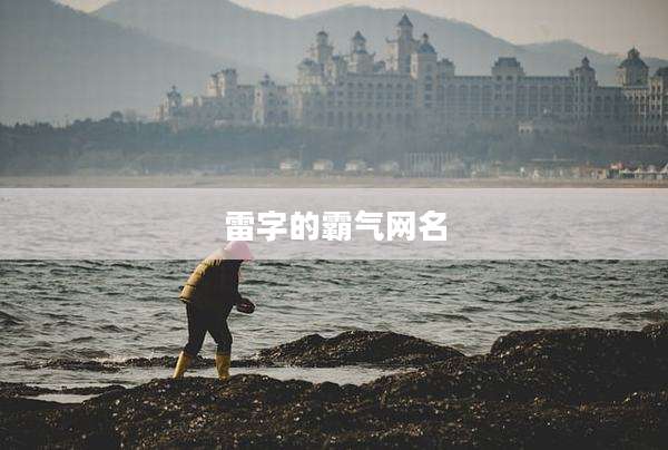 雷字的霸气网名