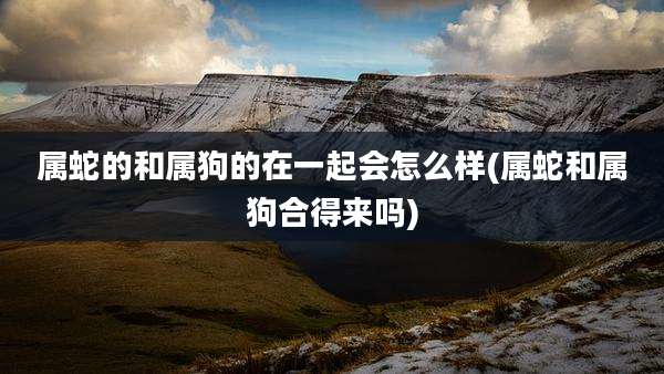 属蛇的和属狗的在一起会怎么样(属蛇和属狗合得来吗)