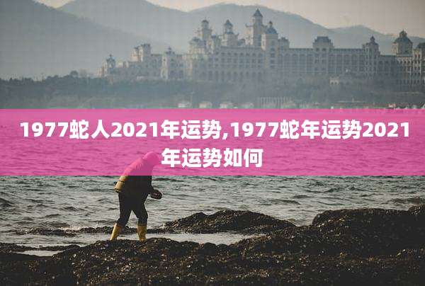 1977蛇人2021年运势,1977蛇年运势2021年运势如何