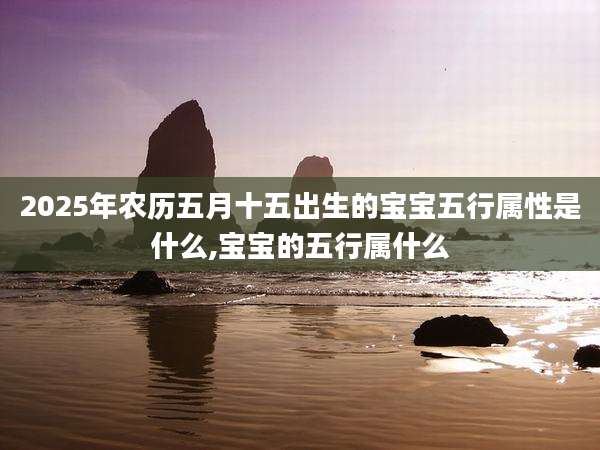 2025年农历五月十五出生的宝宝五行属性是什么,宝宝的五行属什么