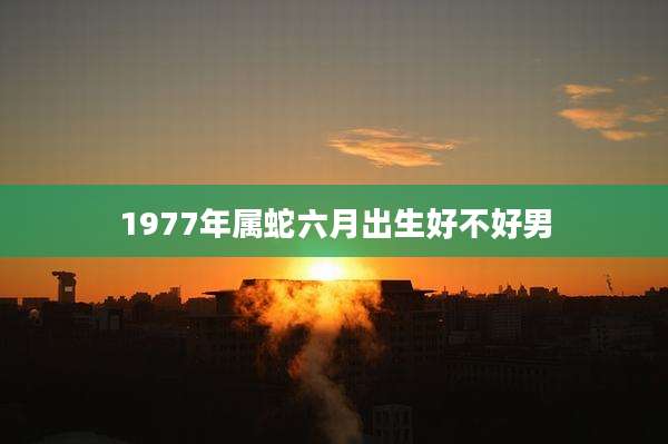 1977年属蛇六月出生好不好男